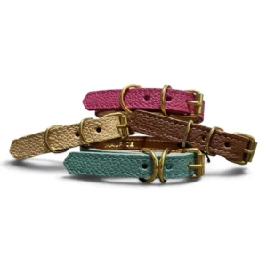 leather dog collars for small dogs